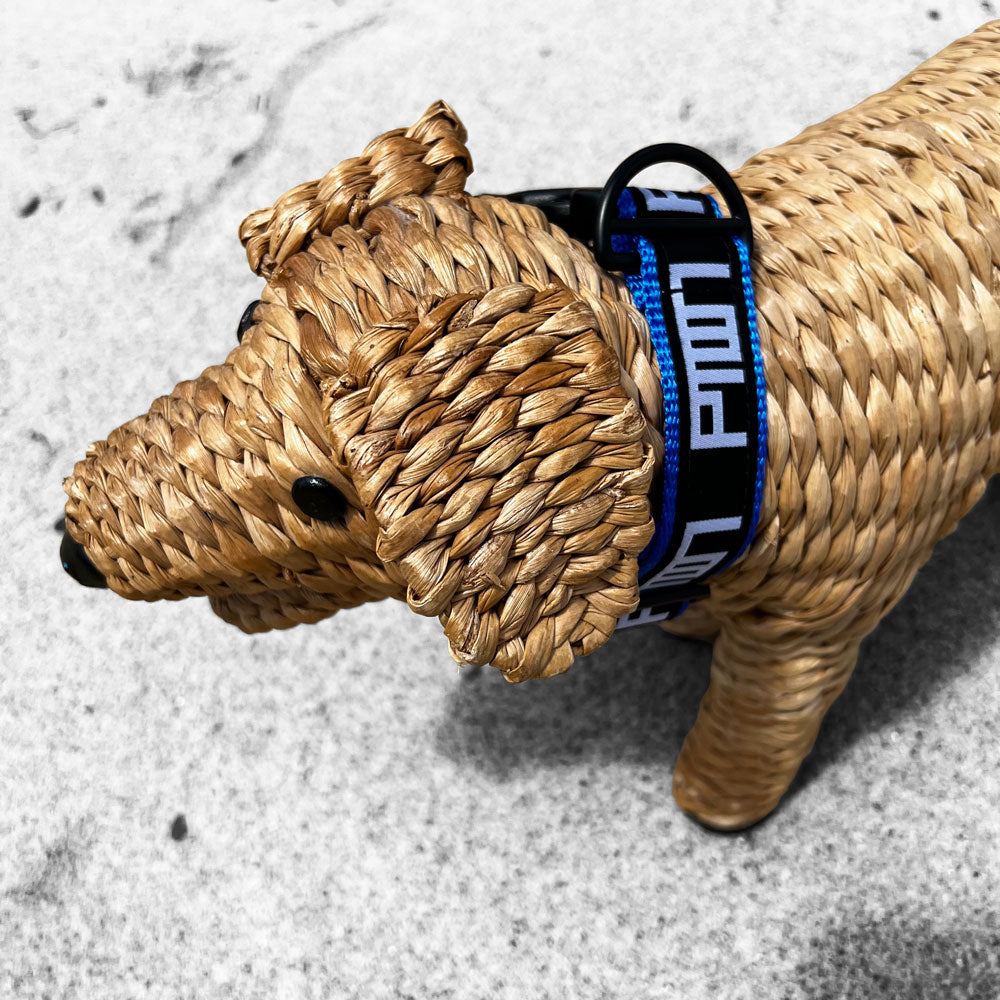PTOWN / DOG COLLAR - SMALL / BLUE - Dog Collar