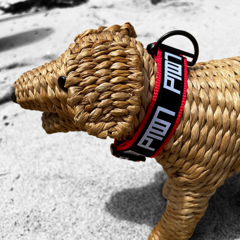 PTOWN / DOG COLLAR - SMALL / RED - Dog Collar