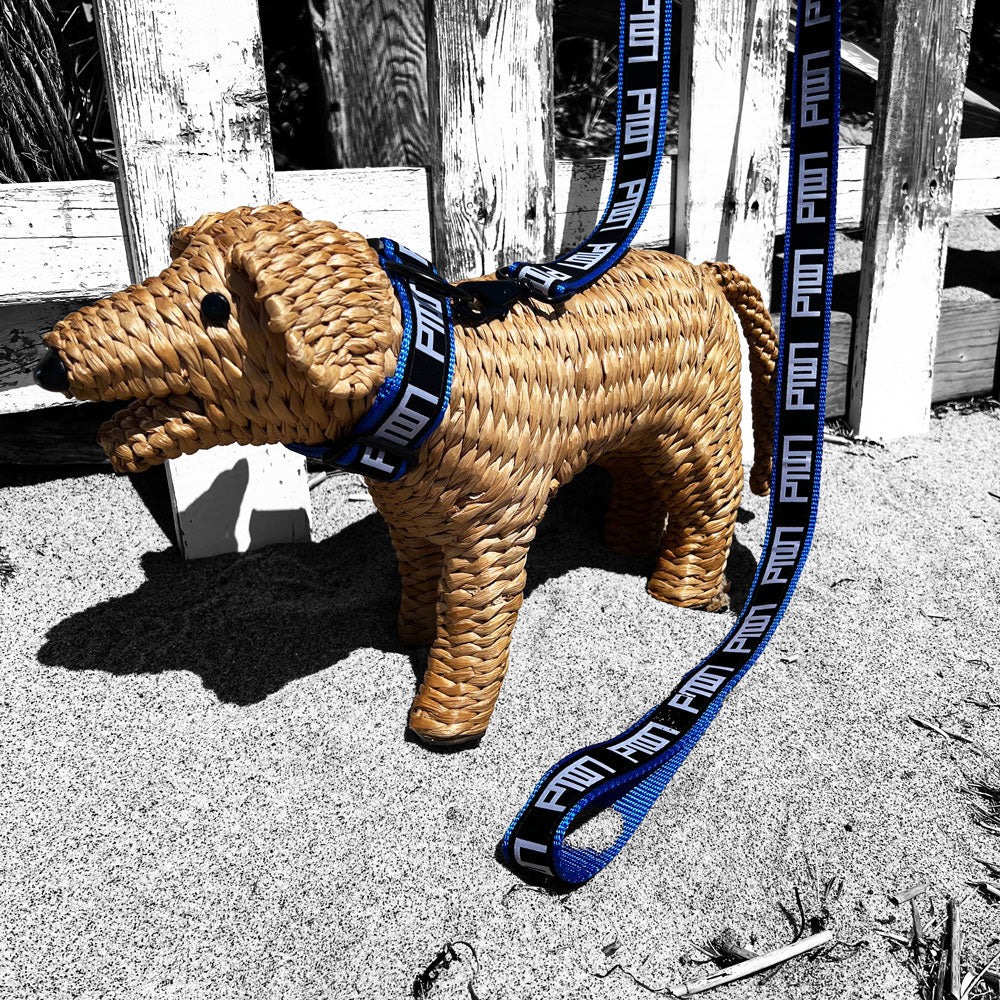 PTOWN / DOG COLLAR - Dog Collar