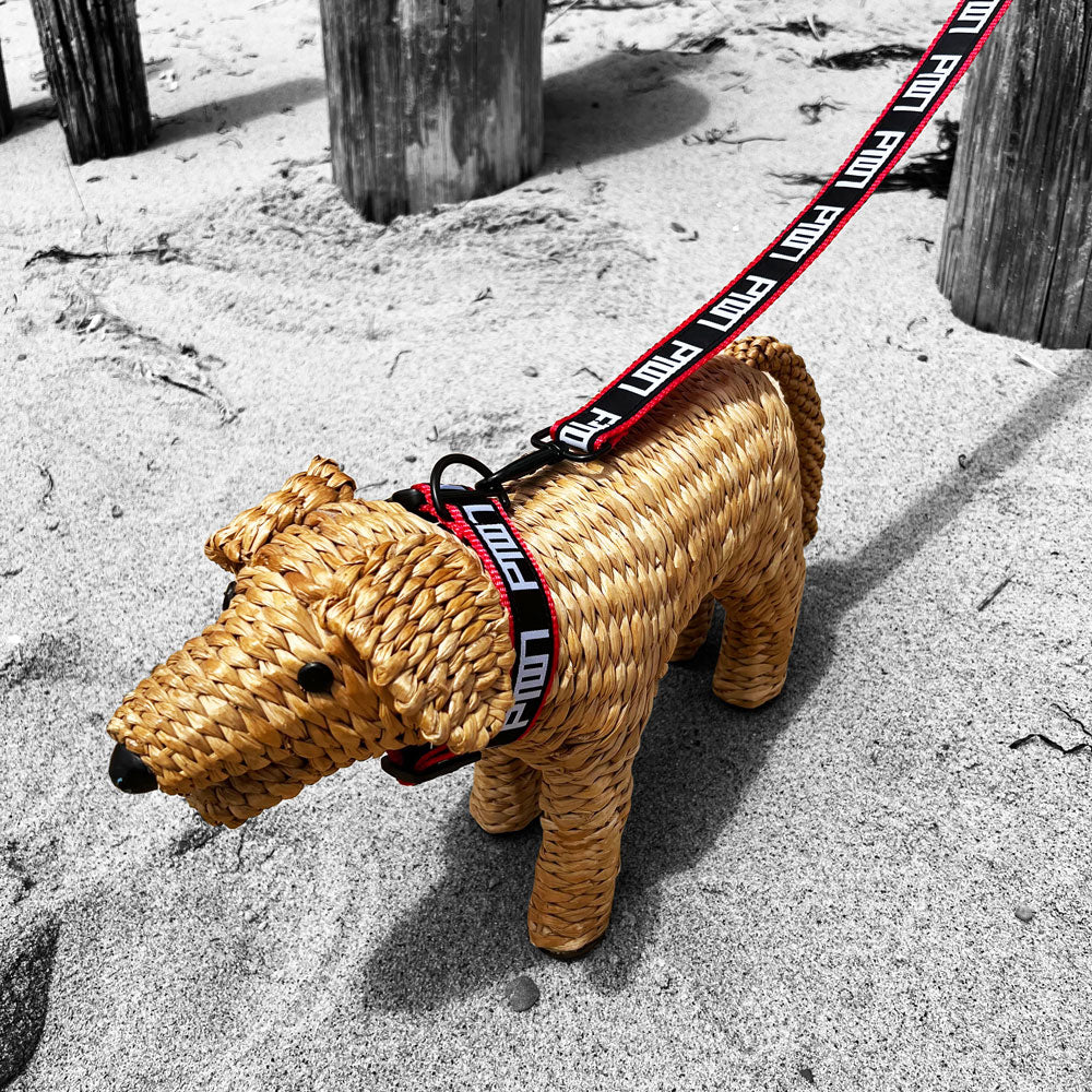PTOWN / DOG COLLAR - Dog Collar