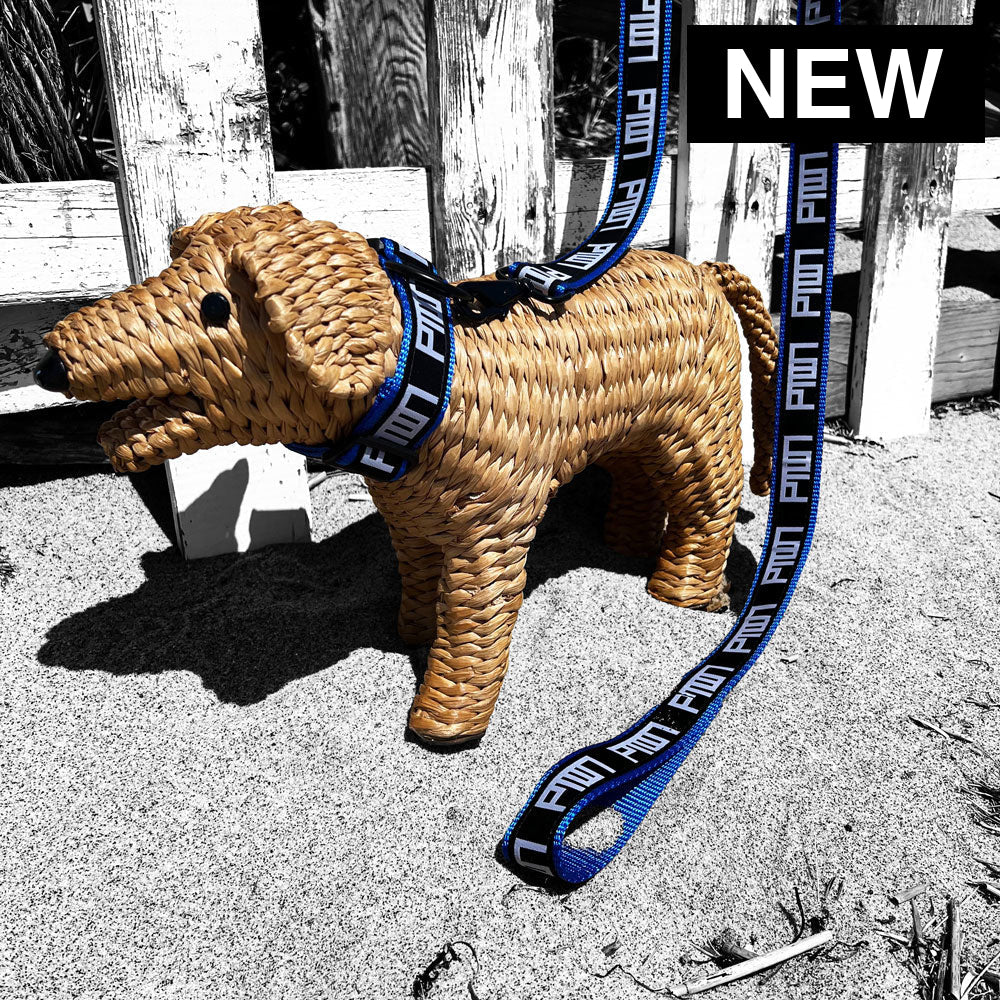 PTOWN / DOG COLLAR - Dog Collar