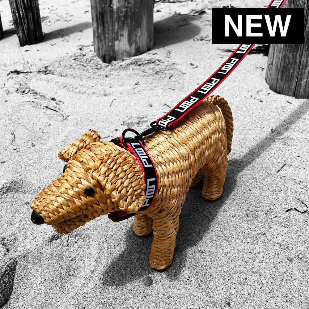 PTOWN / DOG COLLAR - Dog Collar