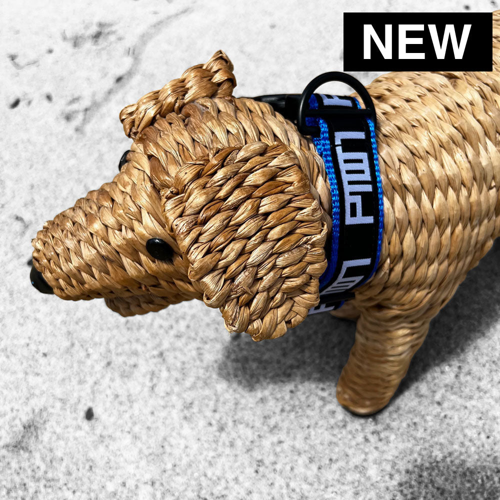 PTOWN / DOG COLLAR - SMALL / BLUE - Dog Collar