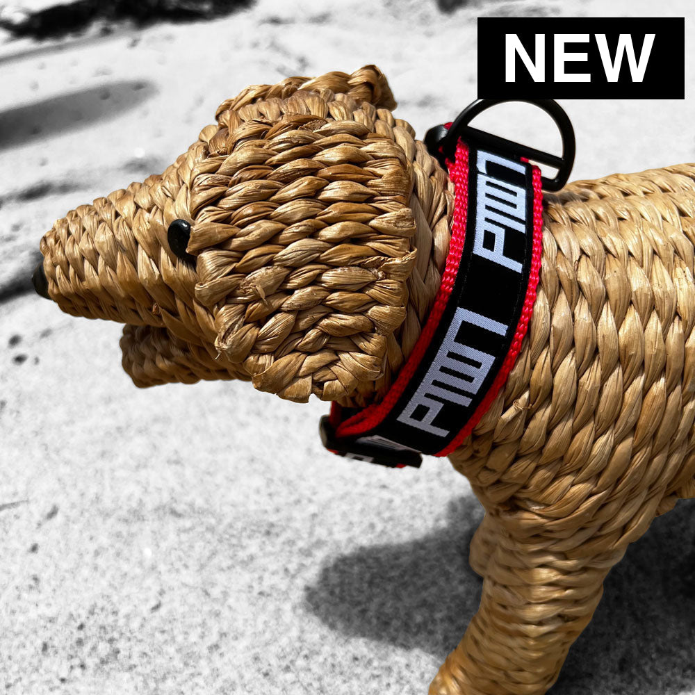 PTOWN / DOG COLLAR - SMALL / RED - Dog Collar